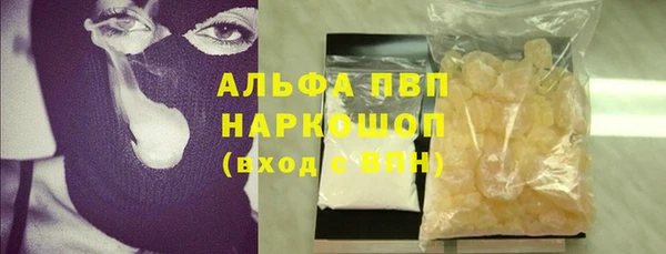 дмт Новодвинск