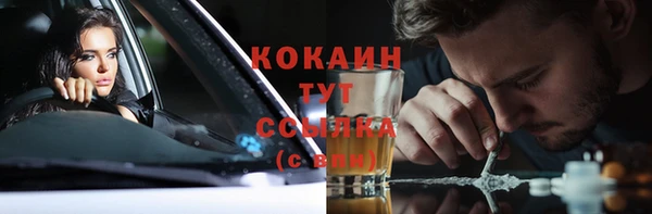 дмт Новодвинск