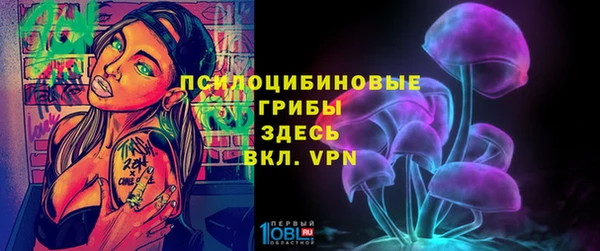 а пвп мука Няндома