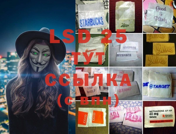 PSILOCYBIN Нязепетровск